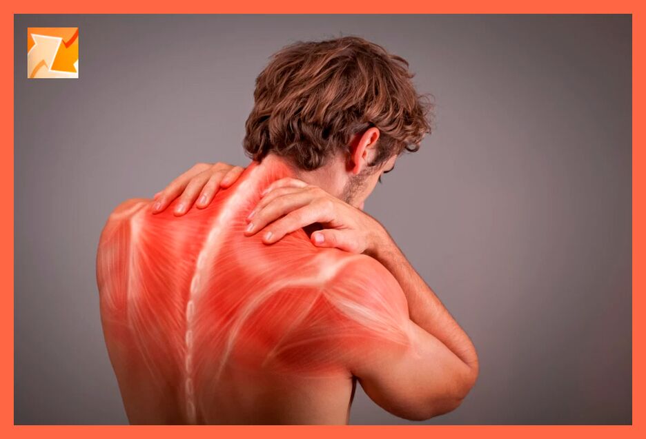 Effects of Hondroten gel on back muscles and ligaments